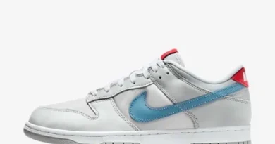 Nike Dunk Low