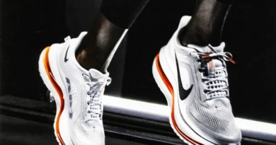 Nike Pegasus Premium