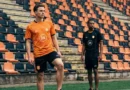 Malelions World Cup Collection
